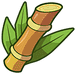 sugarcane