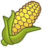 corn_1